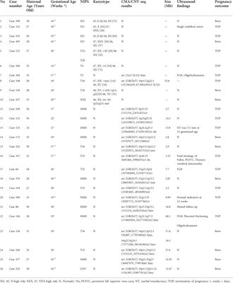 A retrospective single-center analysis of prenatal diagnosis and follow-up of 626 chinese patients with positive non-invasive prenatal screening results